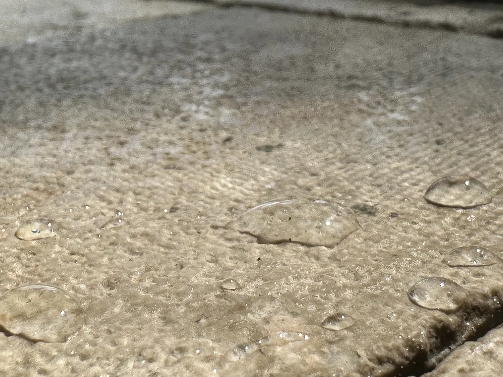 Water beading on sealed travertine instead of soaking in.