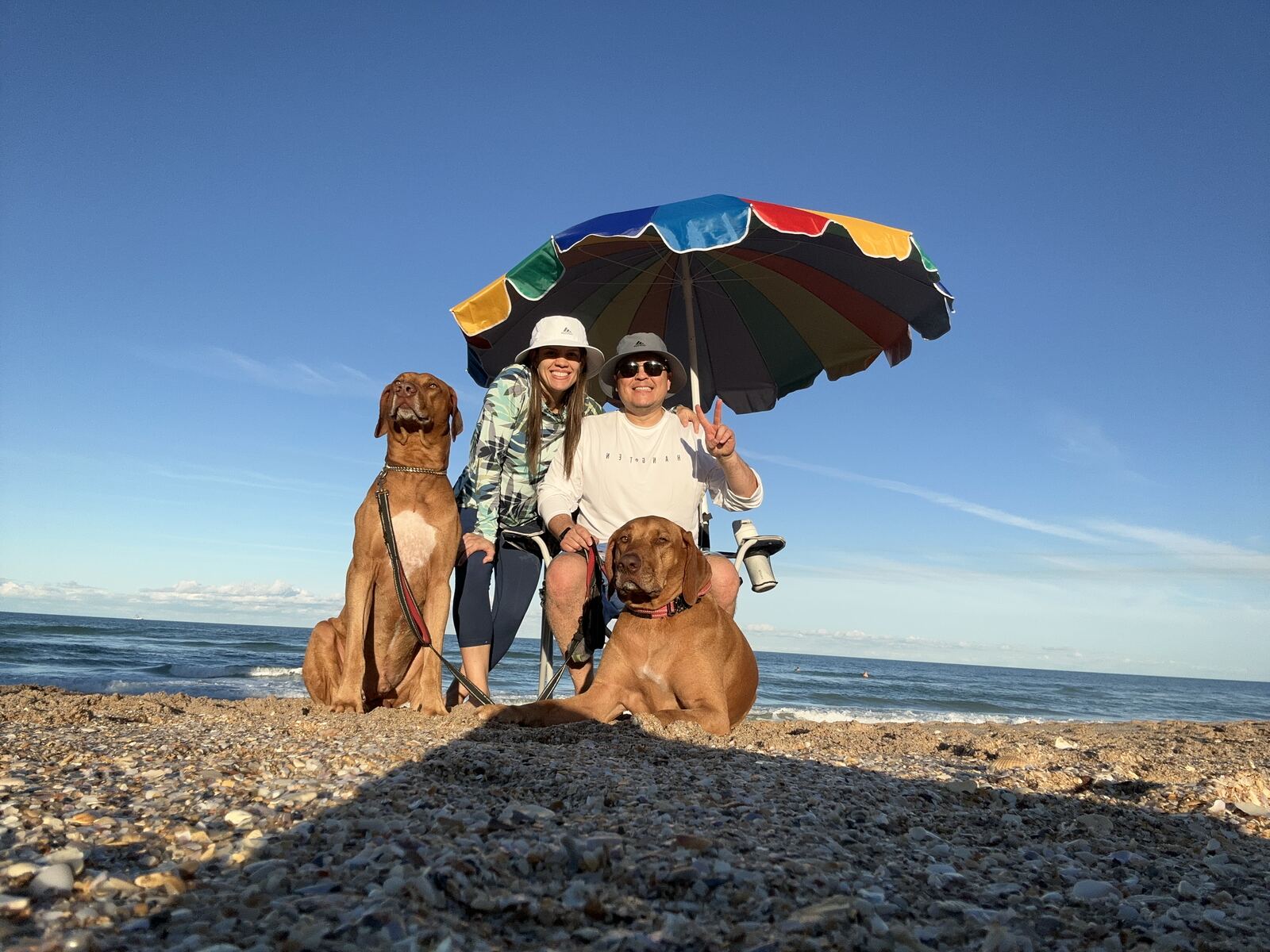 AJ and Andriele, founders of Vestra Paver Sealing, with their two dogs on a Suncoast beach.